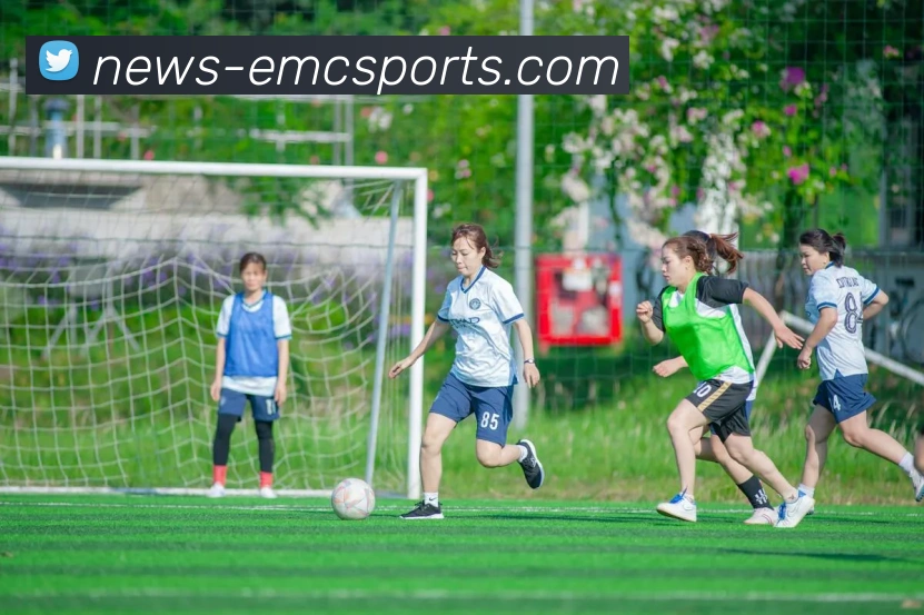 易倍体育发展历程